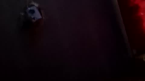 Potro770723 online show from 04.02.26