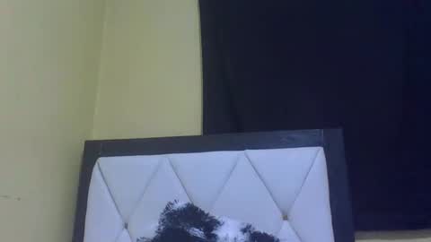 lynn online show from 02.27.26