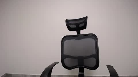 Snapshot of present_the_magic chatting on 01.04.25 Plux online show from 01.04.25