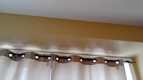 Snapshot of pretty_littletoy chatting on 03.05.26 pretty_littletoy online show from 03.05.26