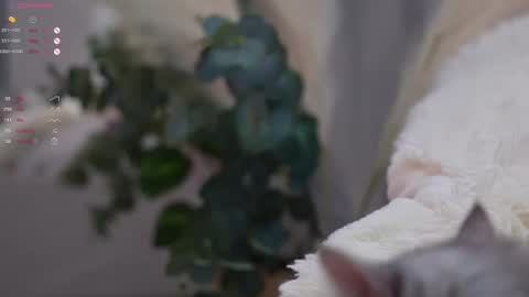 Elina online show from 03.11.25