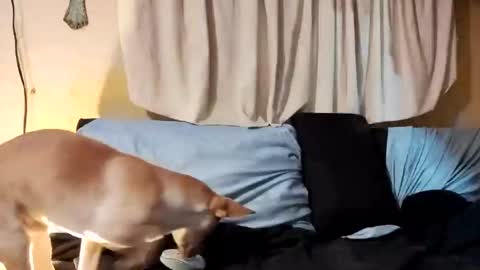 Prettyslangin69 FYPM online show from 02.26.25