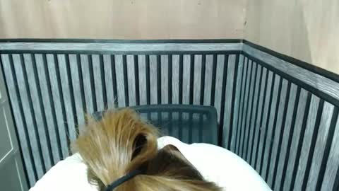 Kate online show from 10.08.25