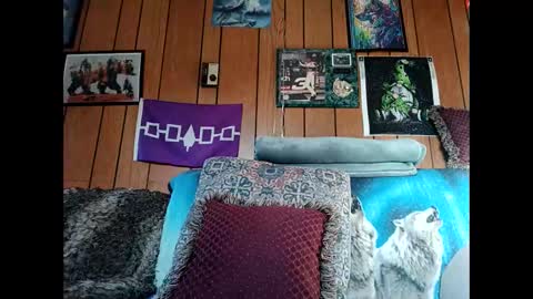 prettysolid7 online show from 03.03.26