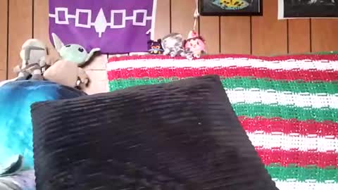 Snapshot of prettysolidd7 chatting on 01.04.25 prettysolidd7 online show from 01.04.25