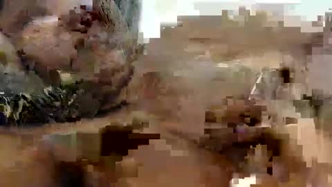 Princess Asshole online show from 10.09.25