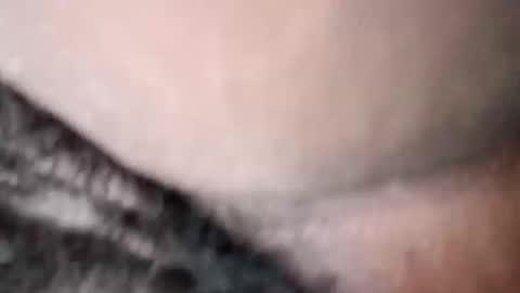 Princess Asshole online show from 05.19.26