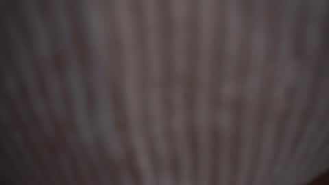 Snapshot of princessasiana chatting on 02.09.25 Assi Incognito girl online show from 02.09.25