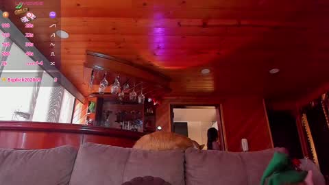 Cori online show from 12.11.24