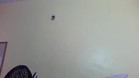 phelly online show from 02.04.26