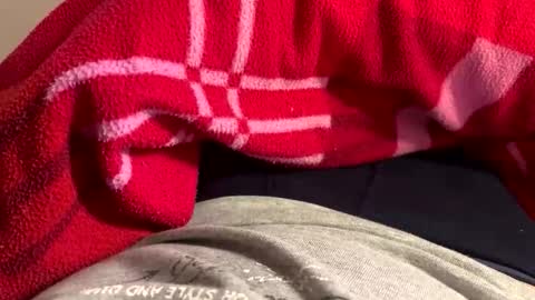 privat2025 online show from 02.01.26