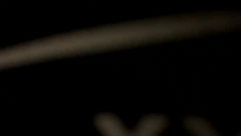 privat2025 online show from 03.30.26