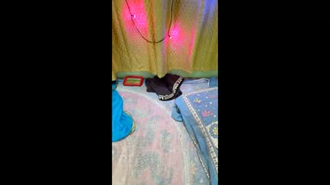 priyachocolaty online show from 02.09.26