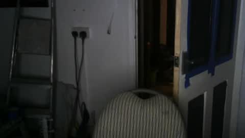 Snapshot of projectorepson chatting on 01.19.25 projectorepson online show from 01.19.25