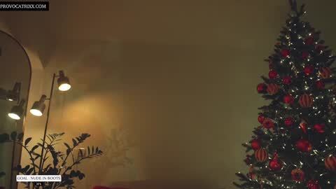 Snapshot of provocatrixx chatting on 12.22.24 Scar online show from 12.22.24