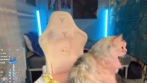 Queen of Pain online show from 03.07.26