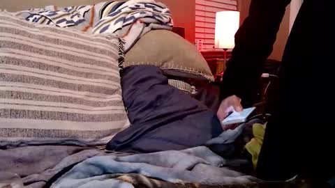 Sk8wave online show from 02.10.26