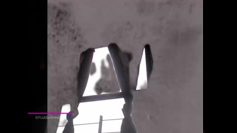 puddled_wonderland online show from 01.06.25