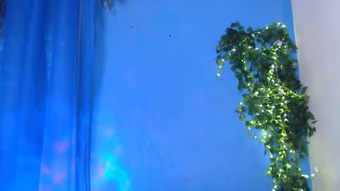 EsteticHouse online show from 03.10.26