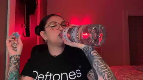 Pumpkin bunny online show from 03.02.26