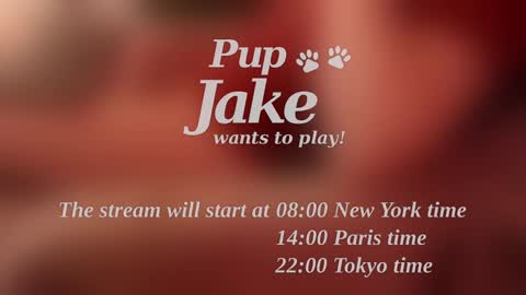 Pup Jake wants to play online show from 12.25.24