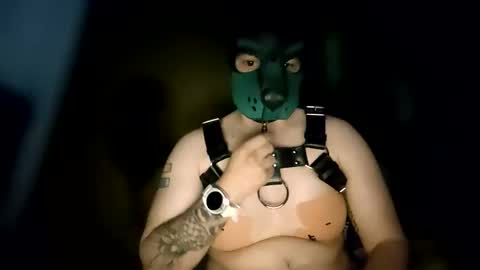 Pup Kori online show from 06.08.26