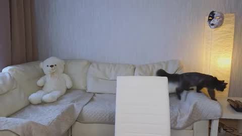 Snapshot of pupsenish chatting on 10.23.25 Jesse online show from 10.23.25