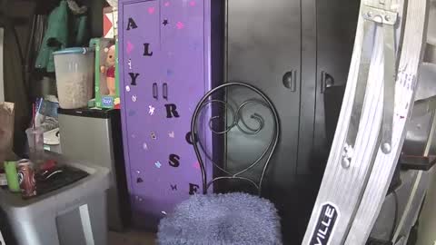 Snapshot of pussy_licker0127 chatting on 12.07.24 Mark online show from 12.07.24