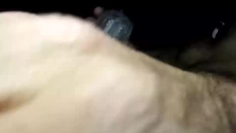 Pussyluver420 online show from 11.11.25