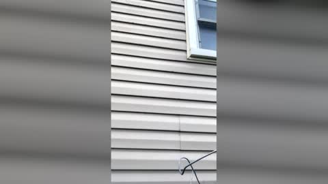 pyrex8 online show from 04.11.26