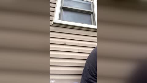 pyrex8 online show from 04.13.26