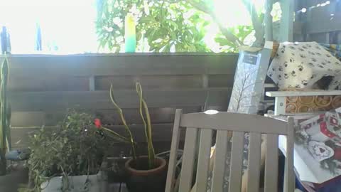 Python online show from 02.02.25