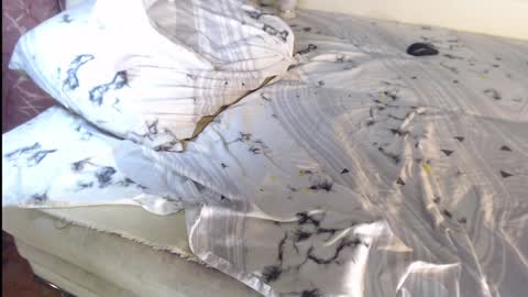 Snapshot of q_t_pie chatting on 12.27.24 Lita rat online show from 12.27.24