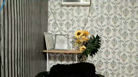 JOY online show from 02.20.25