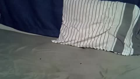 queen_polite online show from 02.22.26