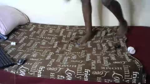 Snapshot of queenmojo_1_1 chatting on 01.04.25 melly online show from 01.04.25