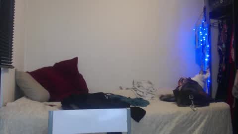 Nico online show from 01.05.25