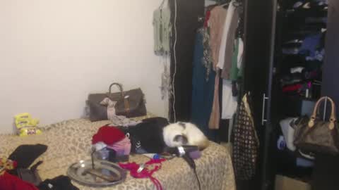 Nico online show from 02.13.25