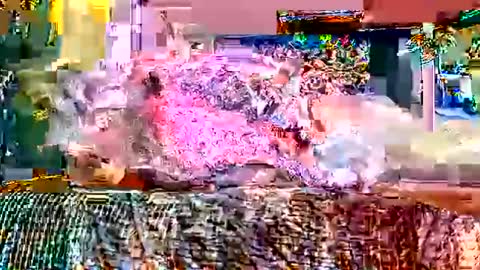 Snapshot of queenstonermami chatting on 02.02.26 queenstonermami online show from 02.02.26