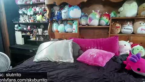 Snapshot of queer_burrito chatting on 10.06.25 Sky Burrito online show from 10.06.25