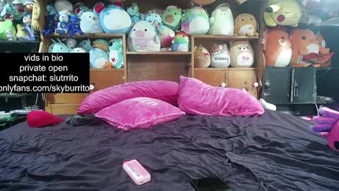 Snapshot of queer_burrito chatting on 10.18.25 Sky Burrito online show from 10.18.25