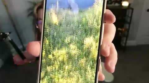 Snapshot of quervoqueen1 chatting on 11.17.25 Bri online show from 11.17.25