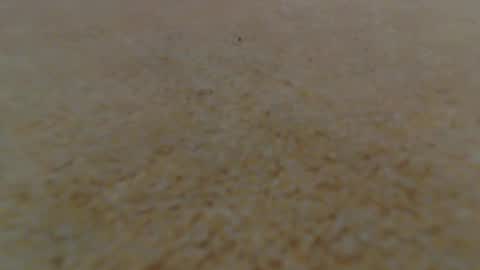 racefliege online show from 01.14.25