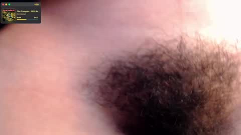 Snapshot of rachel_garden2 chatting on 02.17.25 rachel_garden2 online show from 02.17.25