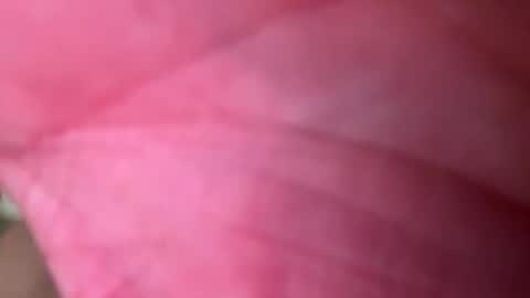 ragerd420 online show from 02.24.26