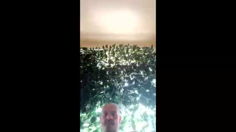 Snapshot of ragingzef69 chatting on 03.02.25 Bigthickdickinvic online show from 03.02.25