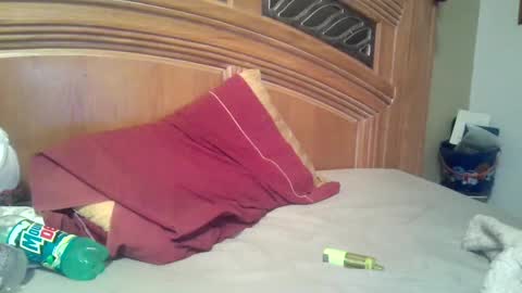 Snapshot of raidersman757 chatting on 11.02.25 hitman online show from 11.02.25