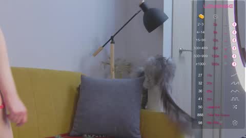 Mei online show from 09.26.25