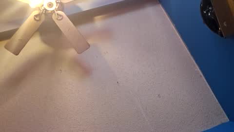 Randcandy77 online show from 11.11.25