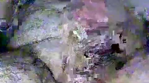 Rasit Adanali online show from 03.08.26